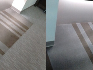 Professional Carpet Cleaning In Adelaide