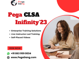 live-pega-lead-system-architect-infinity23-training-by-industry-experts-pegagang